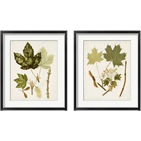 Framed 'Antique Leaves 2 Piece Framed Art Print Set' border=