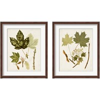 Framed 'Antique Leaves 2 Piece Framed Art Print Set' border=