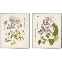 Framed Vintage Flowering Trees 2 Piece Canvas Print Set