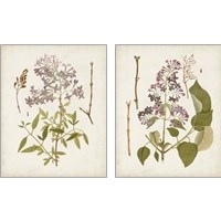 Framed 'Vintage Flowering Trees 2 Piece Art Print Set' border=