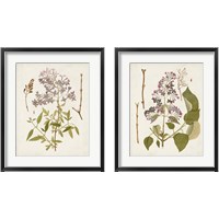 Framed 'Vintage Flowering Trees 2 Piece Framed Art Print Set' border=