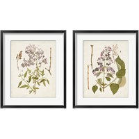 Framed 'Vintage Flowering Trees 2 Piece Framed Art Print Set' border=