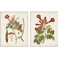 Framed 'Vintage Flowering Trees 2 Piece Art Print Set' border=