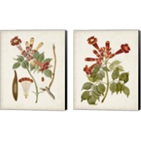 Framed 'Vintage Flowering Trees 2 Piece Canvas Print Set' border=