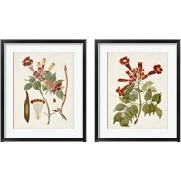 Framed Vintage Flowering Trees 2 Piece Framed Art Print Set