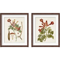 Framed 'Vintage Flowering Trees 2 Piece Framed Art Print Set' border=