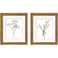 Framed Wild Bloom Sketch 2 Piece Framed Art Print Set