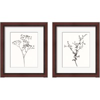 Framed 'Wild Bloom Sketch 2 Piece Framed Art Print Set' border=