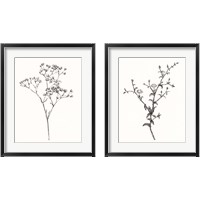 Framed 'Wild Bloom Sketch 2 Piece Framed Art Print Set' border=