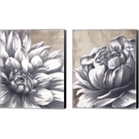 Framed 'Charming Floral 2 Piece Canvas Print Set' border=