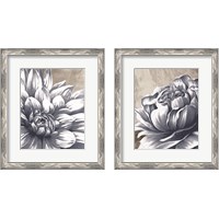 Framed 'Charming Floral 2 Piece Framed Art Print Set' border=