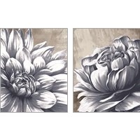 Framed 'Charming Floral 2 Piece Art Print Set' border=