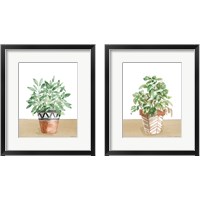 Framed Herb Garden 2 Piece Framed Art Print Set