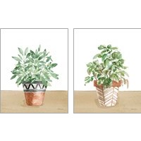 Framed 'Herb Garden 2 Piece Art Print Set' border=