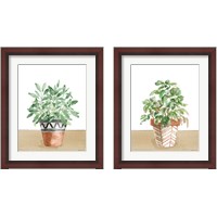 Framed 'Herb Garden 2 Piece Framed Art Print Set' border=