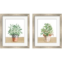 Framed Herb Garden 2 Piece Framed Art Print Set