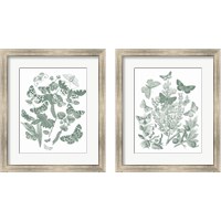 Framed Butterfly Bouquet Sage 2 Piece Framed Art Print Set