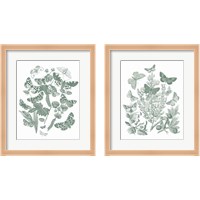 Framed 'Butterfly Bouquet Sage 2 Piece Framed Art Print Set' border=