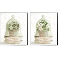 Framed Floral Cloche 2 Piece Canvas Print Set