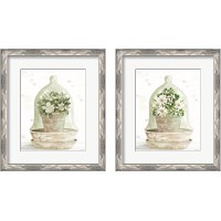Framed 'Floral Cloche 2 Piece Framed Art Print Set' border=