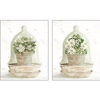 Framed Floral Cloche 2 Piece Art Print Set