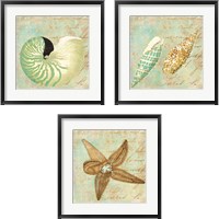 Framed 'Sea Life 3 Piece Framed Art Print Set' border=