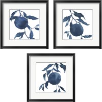 Framed 'Indigo Oranges 3 Piece Framed Art Print Set' border=