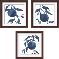 Framed 'Indigo Oranges 3 Piece Framed Art Print Set' border=