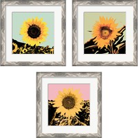 Framed 'Pop Art Sunflower 3 Piece Framed Art Print Set' border=