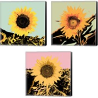 Framed Pop Art Sunflower 3 Piece Canvas Print Set