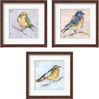 Framed 'Bird Variety 3 Piece Framed Art Print Set' border=