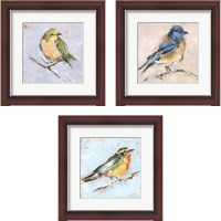 Framed 'Bird Variety 3 Piece Framed Art Print Set' border=