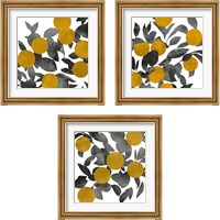 Framed 'Shadow Branch 3 Piece Framed Art Print Set' border=