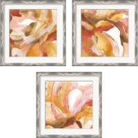 Framed 'Sunset Marble 3 Piece Framed Art Print Set' border=