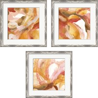 Framed 'Sunset Marble 3 Piece Framed Art Print Set' border=