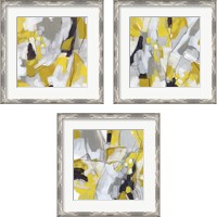Framed 'Citron Confetti 3 Piece Framed Art Print Set' border=