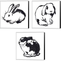 Framed 'Winter Rabbit 3 Piece Canvas Print Set' border=