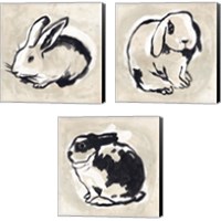 Framed 'Antique Rabbit 3 Piece Canvas Print Set' border=