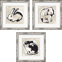 Framed 'Antique Rabbit 3 Piece Framed Art Print Set' border=
