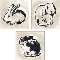 Framed 'Antique Rabbit 3 Piece Art Print Set' border=