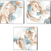 Framed Abstracted Shells 3 Piece Canvas Print Set