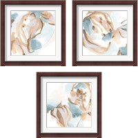 Framed 'Abstracted Shells 3 Piece Framed Art Print Set' border=