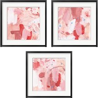 Framed 'Pink Sky 3 Piece Framed Art Print Set' border=
