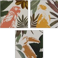 Framed 'Graphic Tropical Bird  3 Piece Art Print Set' border=