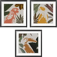 Framed 'Graphic Tropical Bird  3 Piece Framed Art Print Set' border=
