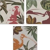 Framed Graphic Tropical Bird  3 Piece Art Print Set
