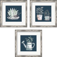 Framed 'Plants Life 3 Piece Framed Art Print Set' border=