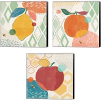 Framed 'Fruit Frenzy 3 Piece Canvas Print Set' border=