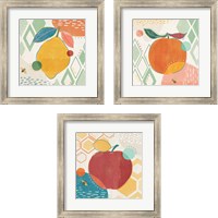 Framed 'Fruit Frenzy 3 Piece Framed Art Print Set' border=