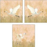 Framed 'Egret Alighting 3 Piece Art Print Set' border=